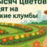 Цветы - Администрация г. Черемхово