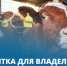 Памятка для владельцев животных Как защитить своих животных от опасных инфекций и сохранить их здоровье - Администрация Черемховского района