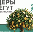 Управление Росприроднадзора по Иркутской области и Байкальской природной территории информирует - Администрация Черемховского района